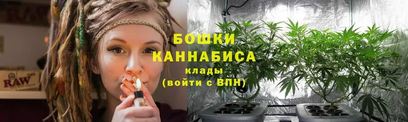 Бошки марихуана LSD WEED  даркнет сайт  Кемь 